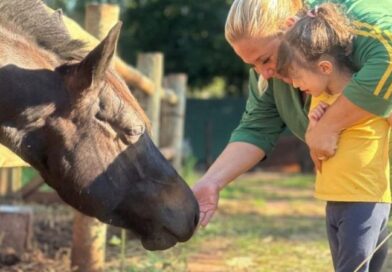 Equoterapia em Mato Grosso do Sul une saúde, inclusão e reabilitação para pessoas com deficiência