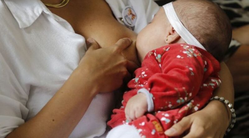 Mamanalgesia humaniza a vacinação infantil e será tema em evento nacional sobre amamentação Mamanalgesia humaniza a vacinação infantil e será tema em evento nacional sobre amamentação