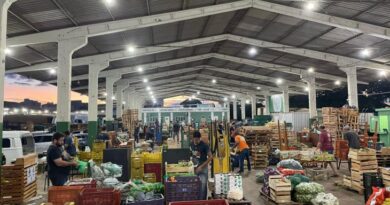 Do campo ao mercado: como o agricultor pode vender na Ceasa de Mato Grosso do Sul Do campo ao mercado: como o agricultor pode vender na Ceasa de Mato Grosso do Sul