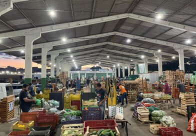 Do campo ao mercado: como o agricultor pode vender na Ceasa de Mato Grosso do Sul Do campo ao mercado: como o agricultor pode vender na Ceasa de Mato Grosso do Sul