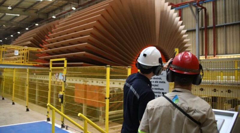 Destaque nacional na geração de empregos, MS abre oportunidades para quem busca um lugar ao sol