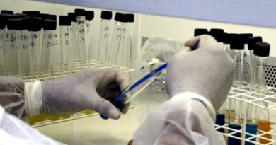 Lacen/MS recebe nota máxima em ensaios de proficiência e reforça excelência técnica