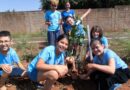 Prefeitura promove plantio de 25 mudas em escola da Capital