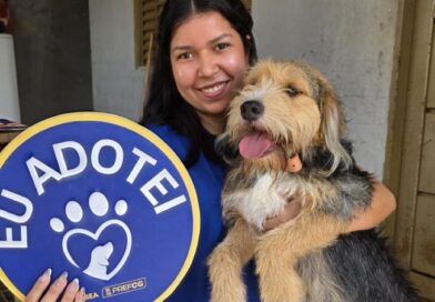 Subea realiza ação de adoção com cães resgatados de maus-tratos Subea realiza ação de adoção com cães resgatados de maus-tratos