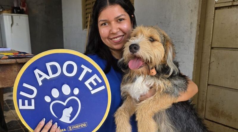Subea realiza ação de adoção com cães resgatados de maus-tratos Subea realiza ação de adoção com cães resgatados de maus-tratos