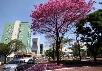 COP15 projeta Campo Grande como hub de turismo e sustentabilidade