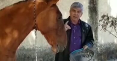 Vereador Francisco reafirma compromisso com causa animal Vereador Francisco reafirma compromisso com causa animal