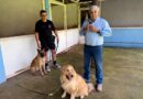 Vereador Veterinário Francisco realiza visita ao canil da Guarda Municipal e desmente denúncias de maus-tratos