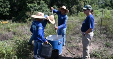 Projeto ambiental fortalece recuperação ambiental em Bonito com atuação conjunta ao Governo de MS Projeto ambiental fortalece recuperação ambiental em Bonito com atuação conjunta ao Governo de MS