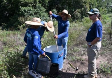 Projeto ambiental fortalece recuperação ambiental em Bonito com atuação conjunta ao Governo de MS Projeto ambiental fortalece recuperação ambiental em Bonito com atuação conjunta ao Governo de MS
