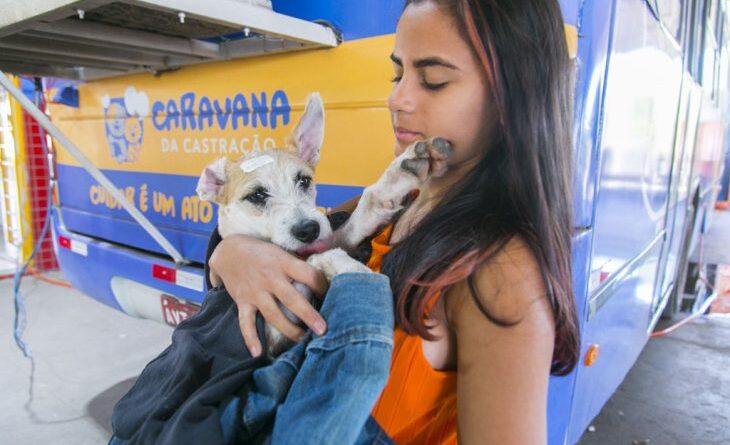 Caravana da Castração chega à Capital e se consolida como o maior programa de controle de animais em MS