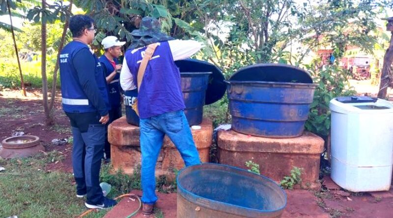 Chikungunya: ministro classifica como crítica situação em Dourados