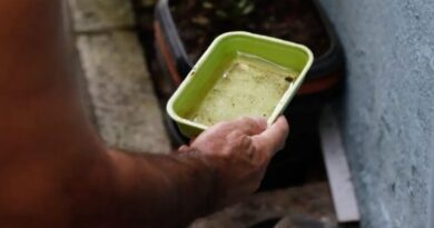 Estado articula para trazer vacina da chikungunya para MS e garante inclusão em estratégia piloto nacional