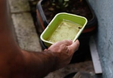 Estado articula para trazer vacina da chikungunya para MS e garante inclusão em estratégia piloto nacional