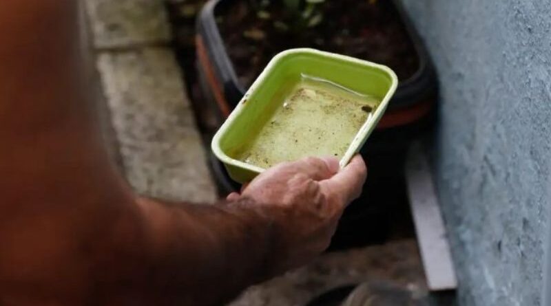 Estado articula para trazer vacina da chikungunya para MS e garante inclusão em estratégia piloto nacional