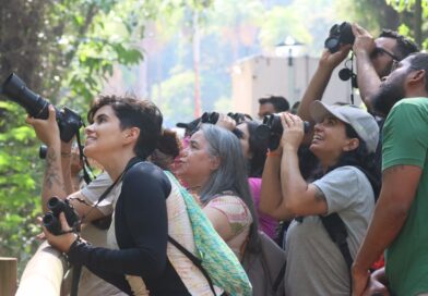 Durante COP15, visitantes poderão observar aves migratórias na Capital