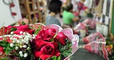 Dia da Mulher: Procon de Mato Grosso do Sul divulga pesquisa sobre flores e autocuidado