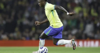 Brasil enfrenta França em fase final de preparação para Copa do Mundo Brasil enfrenta França em fase final de preparação para Copa do Mundo