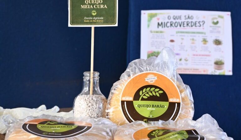 Alunos preparam mil queijos para festa em Rochedinho 