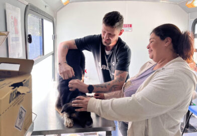 Com mais de 11 mil microchipagens, tecnologia amplia proteção aos pets