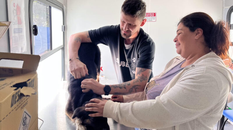 Com mais de 11 mil microchipagens, tecnologia amplia proteção aos pets