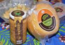 Festa do Queijo começa hoje com entrada gratuita