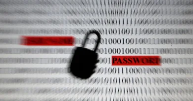 Material do governo ajuda população a se proteger de golpes digitais Material do governo ajuda população a se proteger de golpes digitais
