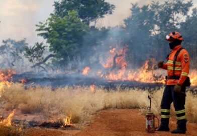Bombeiros se preparam para temporada de incêndios florestais com treinamentos e ações em campo Bombeiros se preparam para temporada de incêndios florestais com treinamentos e ações em campo