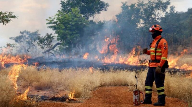 Bombeiros se preparam para temporada de incêndios florestais com treinamentos e ações em campo Bombeiros se preparam para temporada de incêndios florestais com treinamentos e ações em campo
