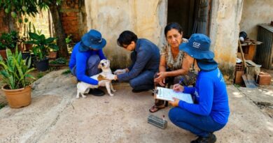 Campo Grande amplia monitoramento da leishmaniose visceral canina Campo Grande amplia monitoramento da leishmaniose visceral canina