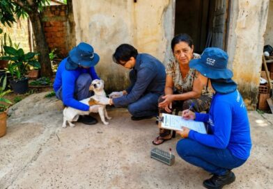 Campo Grande amplia monitoramento da leishmaniose visceral canina Campo Grande amplia monitoramento da leishmaniose visceral canina