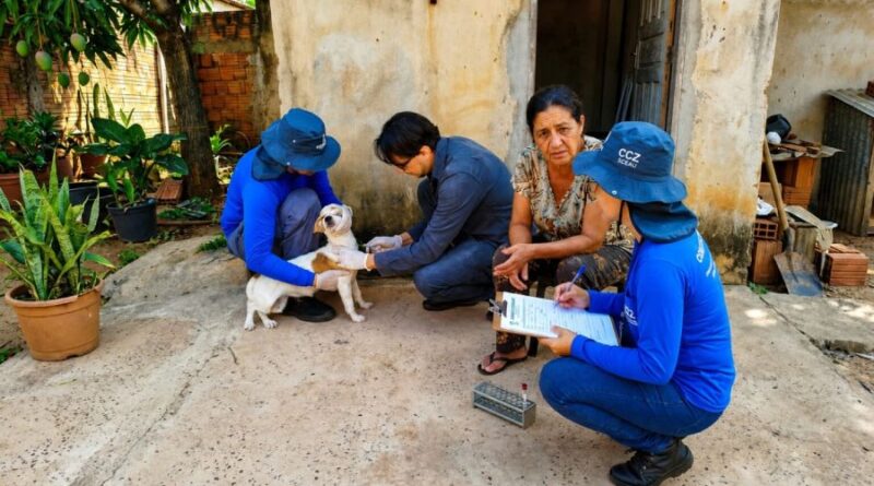 Campo Grande amplia monitoramento da leishmaniose visceral canina Campo Grande amplia monitoramento da leishmaniose visceral canina