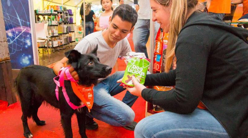 Campo Grande incentiva pesquisa sobre turismo pet