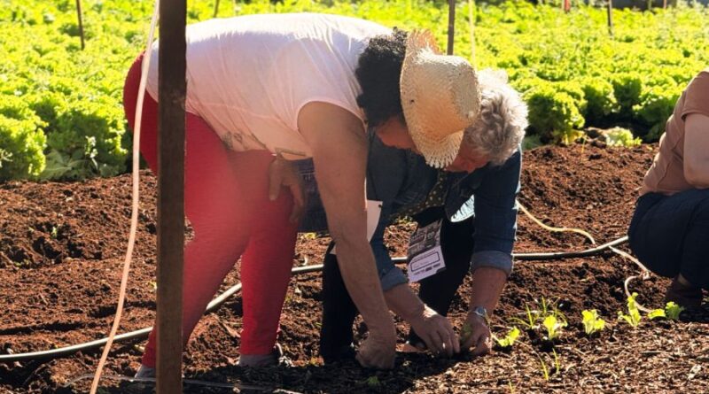 Dia de campo reúne idosos da Vila da Melhor Idade