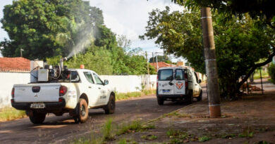 Confira os três bairros por onde o fumacê passa nesta quinta
