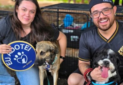 Adoção: Praça Bolívia sedia feira de cães neste domingo