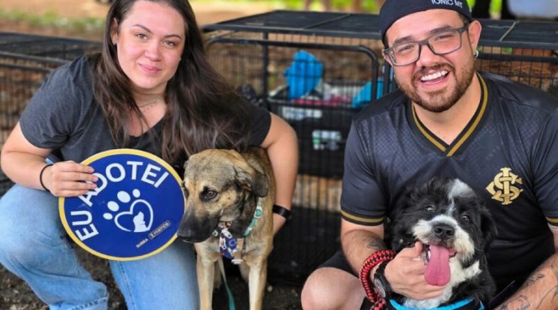 Adoção: Praça Bolívia sedia feira de cães neste domingo