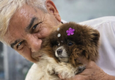 Veterinário Francisco: empatia com os animais