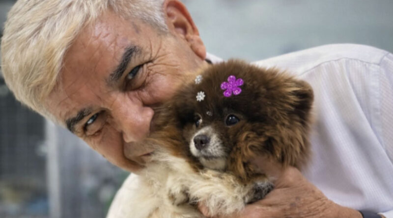 Veterinário Francisco: empatia com os animais
