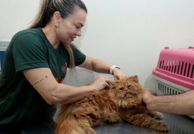 Consultório da Subea leva atendimento ao Jardim Carioca Consultório da Subea leva atendimento ao Jardim Carioca