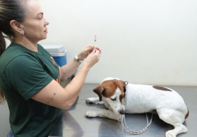 Consultório Móvel atende pets nesta segunda (17)