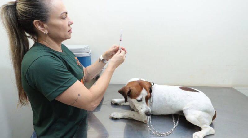 Consultório Móvel atende pets nesta segunda (17)
