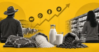 Do campo à gôndola: por que o preço dos alimentos muda tanto Do campo à gôndola: por que o preço dos alimentos muda tanto