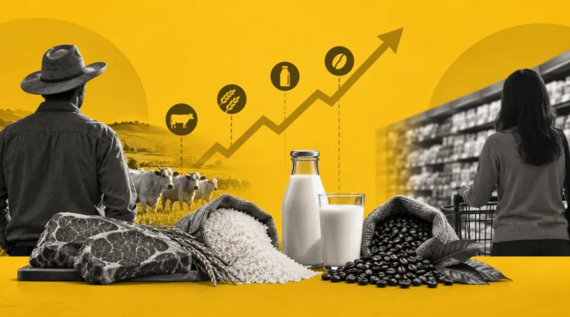 Do campo à gôndola: por que o preço dos alimentos muda tanto Do campo à gôndola: por que o preço dos alimentos muda tanto