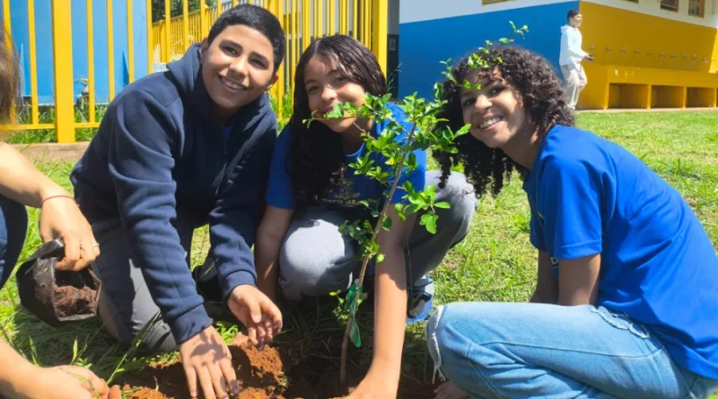 Plantio de árvores aproxima estudantes da natureza Plantio de árvores aproxima estudantes da natureza