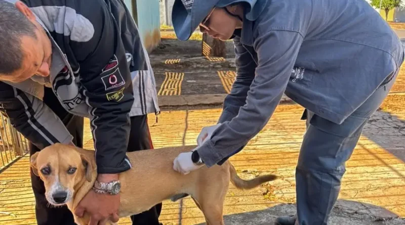 Campo Grande terá vacinação contra a raiva neste fim de semana