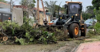 Força Tarefa de Atendimento Emergencial mobiliza mais de 35 equipes em Campo Grande