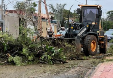 Força Tarefa de Atendimento Emergencial mobiliza mais de 35 equipes em Campo Grande