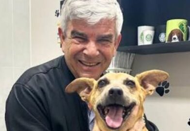 Animais de estimação também ajudam a cuidar da saúde emocional
