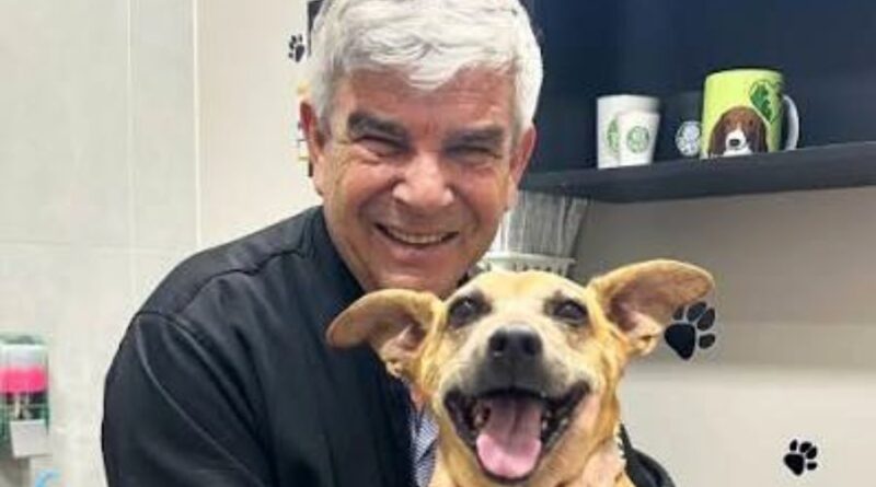 Animais de estimação também ajudam a cuidar da saúde emocional